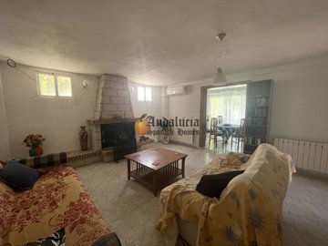 96272076-0003983872