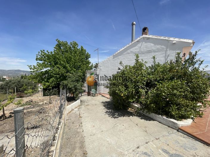 Image No.39-3 Bed Property for sale