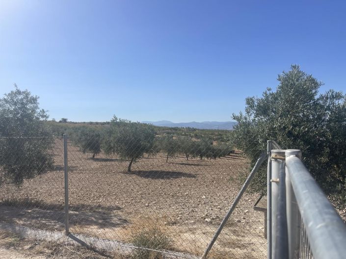 Image No.50-4 Bed Property for sale