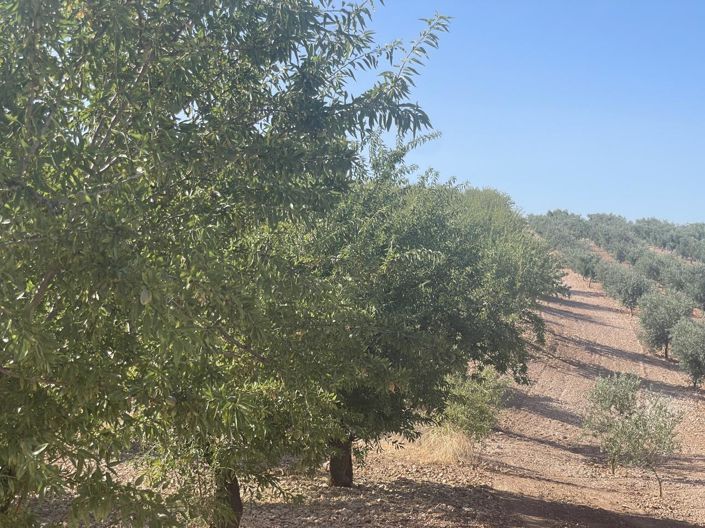 Image No.51-4 Bed Property for sale