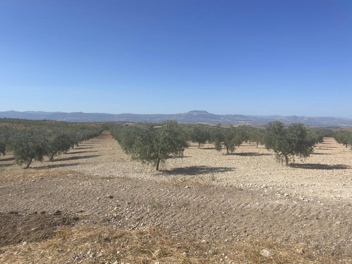 Image No.7-4 Bed Property for sale