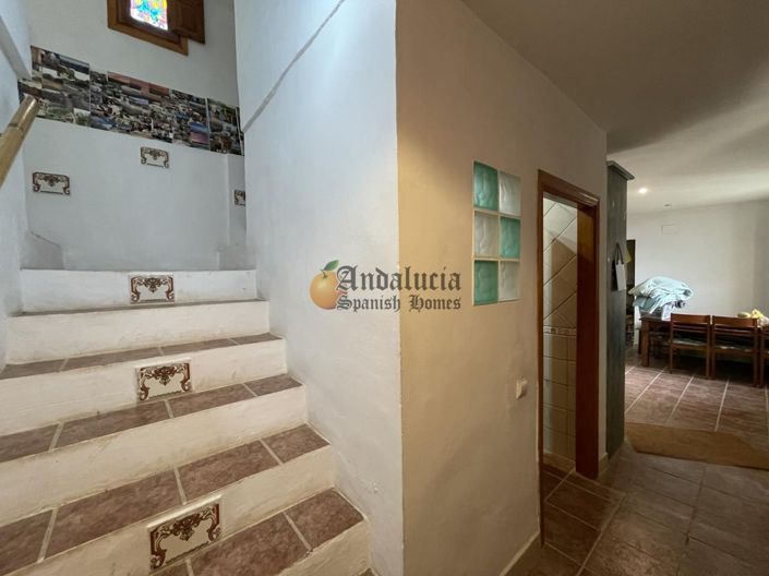 Image No.24-Propriété de 3 chambres à vendre à Salar