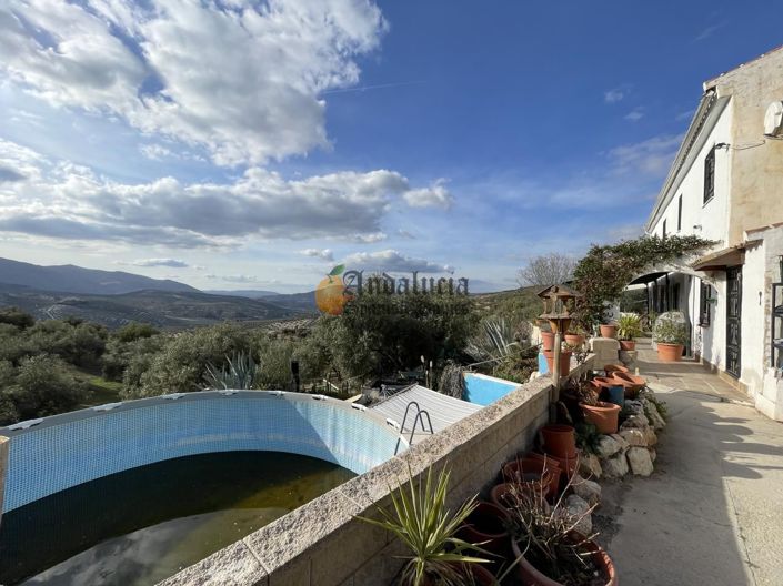 Image No.36-Propriété de 3 chambres à vendre à Salar