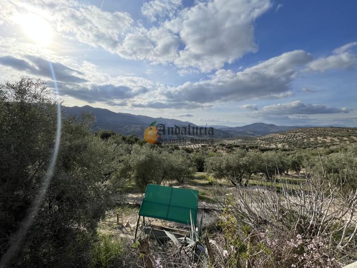 Image No.38-Propriété de 3 chambres à vendre à Salar