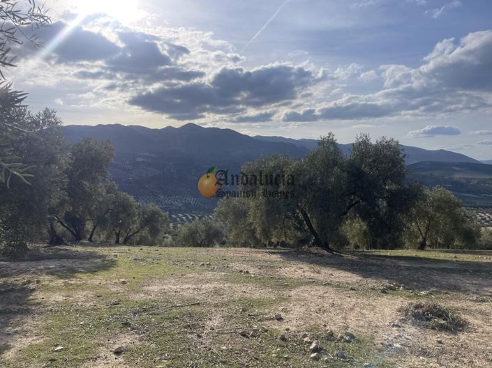 Image No.39-Propriété de 3 chambres à vendre à Salar