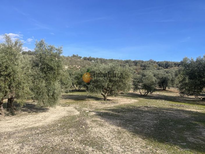 Image No.41-Propriété de 3 chambres à vendre à Salar