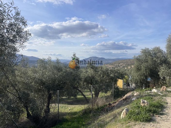 Image No.43-Propriété de 3 chambres à vendre à Salar