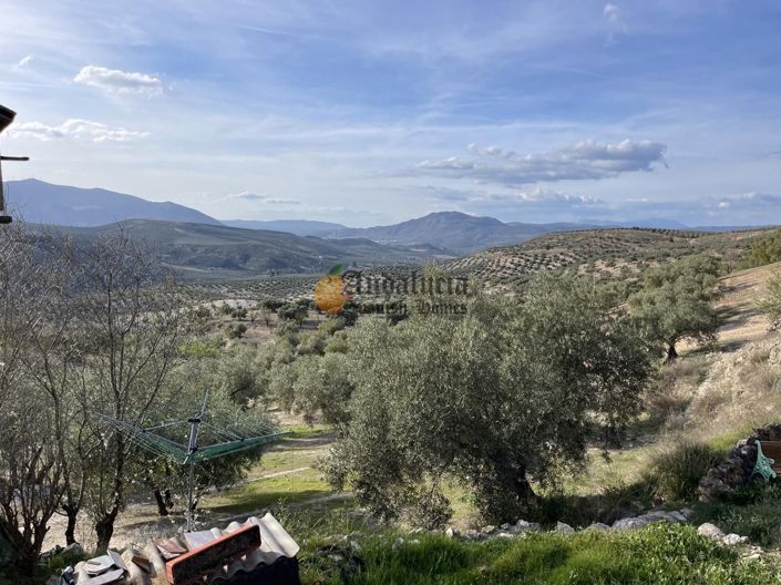 Image No.44-Propriété de 3 chambres à vendre à Salar