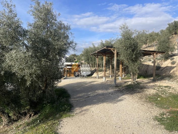 Image No.45-Propriété de 3 chambres à vendre à Salar