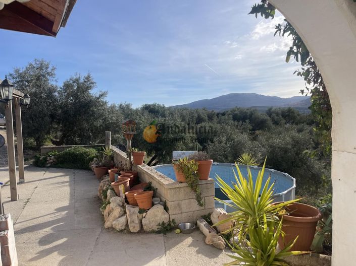 Image No.46-Propriété de 3 chambres à vendre à Salar