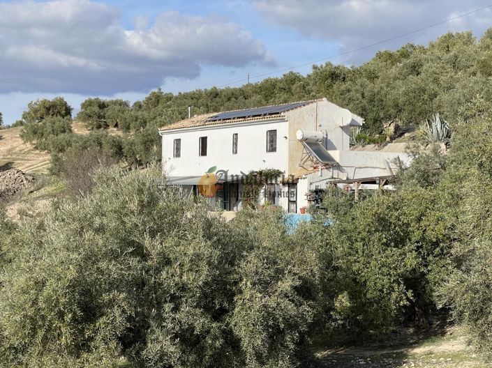 Image No.48-Propriété de 3 chambres à vendre à Salar