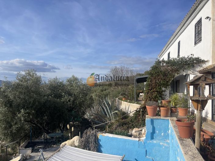 Image No.8-Propriété de 3 chambres à vendre à Salar