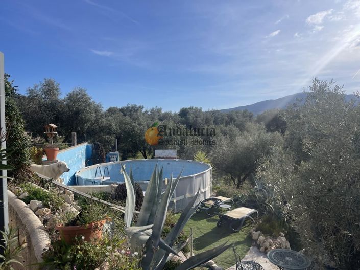 Image No.9-Propriété de 3 chambres à vendre à Salar