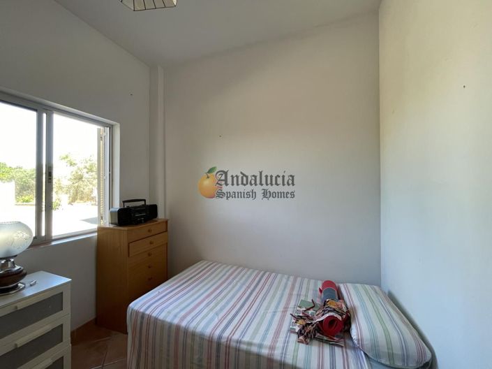 Image No.22-Propriété de 3 chambres à vendre à Moraleda de Zafayona