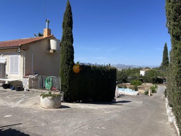 770423c7-0004126211