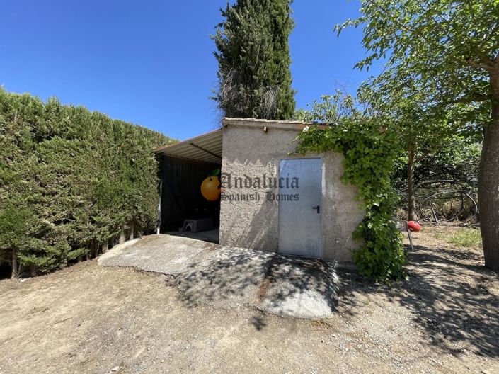 Image No.32-Propriété de 3 chambres à vendre à Moraleda de Zafayona