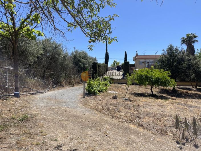 Image No.40-Propriété de 3 chambres à vendre à Moraleda de Zafayona