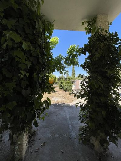 Image No.46-Propriété de 3 chambres à vendre à Moraleda de Zafayona