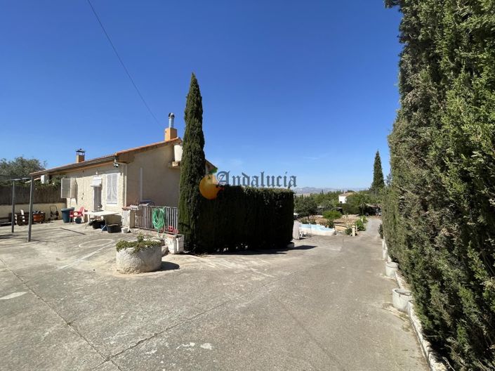 Image No.51-Propriété de 3 chambres à vendre à Moraleda de Zafayona