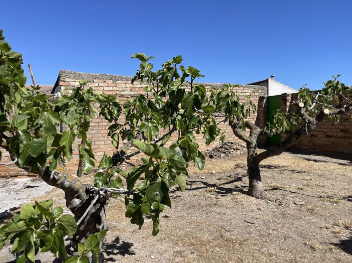 Image No.5-2 Bed Property for sale