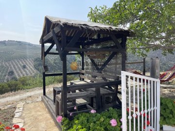 92c7699a-0004145724