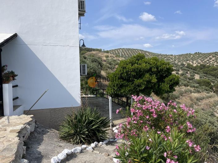 Image No.9-4 Bed Property for sale