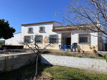 7363946c-0004142481