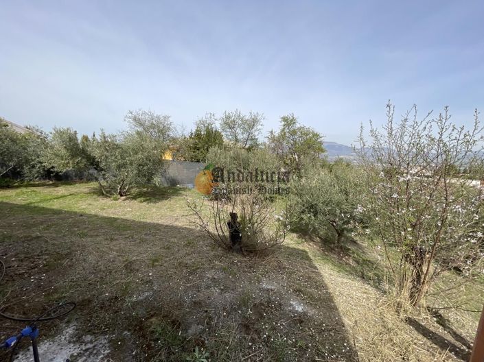 Image No.36-3 Bed Property for sale