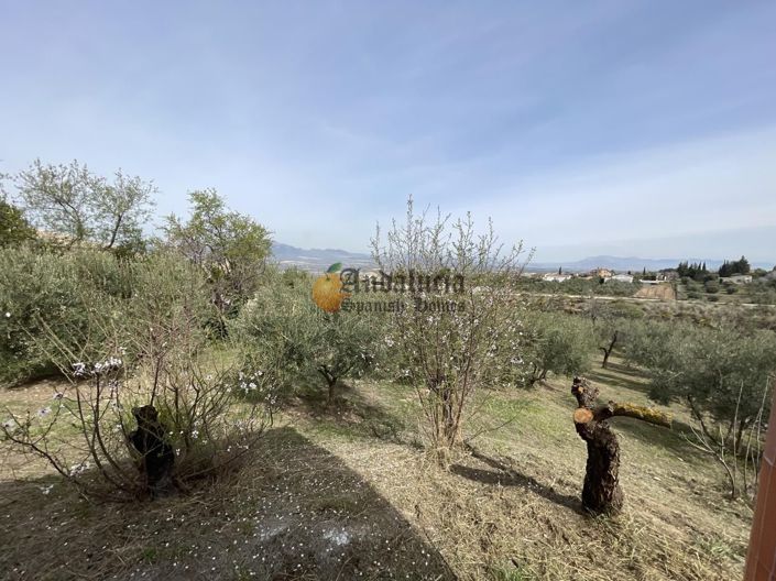 Image No.37-3 Bed Property for sale