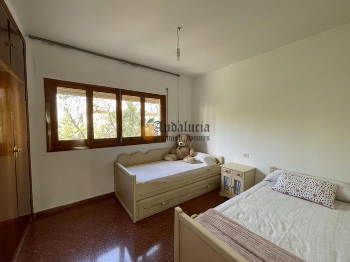 Image No.31-Propriété de 4 chambres à vendre à Íllora