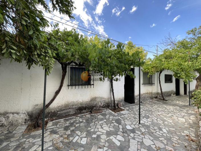 Image No.40-Propriété de 4 chambres à vendre à Íllora