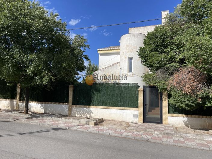 Image No.46-Propriété de 4 chambres à vendre à Íllora