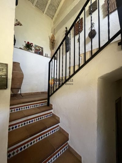 Image No.27-Propriété de 3 chambres à vendre à Montefrío