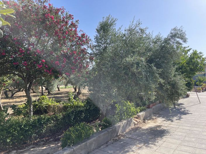 Image No.28-Propriété de 3 chambres à vendre à Moraleda de Zafayona