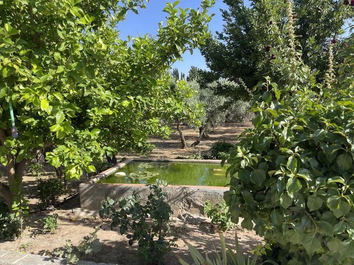 Image No.31-Propriété de 3 chambres à vendre à Moraleda de Zafayona