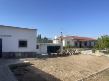 4183647-f1a82174