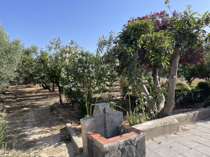 Image No.5-Propriété de 3 chambres à vendre à Moraleda de Zafayona