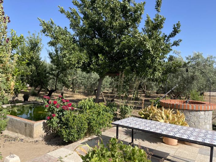 Image No.6-Propriété de 3 chambres à vendre à Moraleda de Zafayona