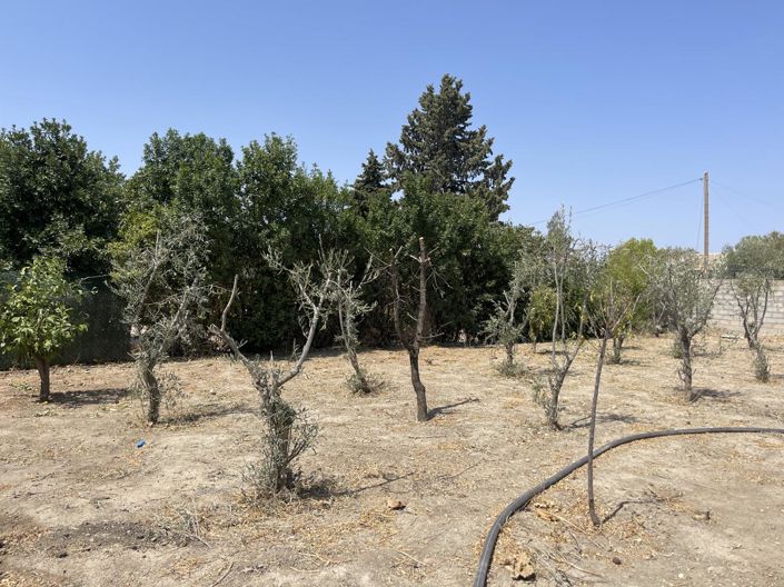 Image No.4-Propriété de 3 chambres à vendre à Moraleda de Zafayona