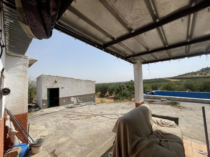 Image No.11-Propriété de 1 chambre à vendre à Moraleda de Zafayona