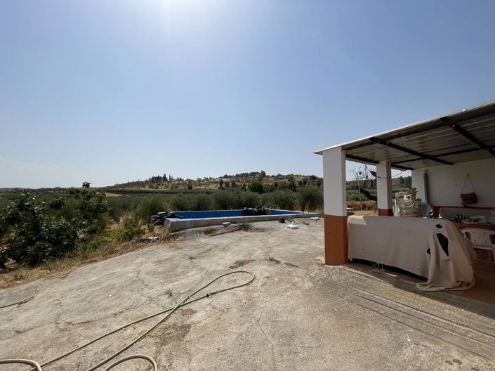 Image No.12-Propriété de 1 chambre à vendre à Moraleda de Zafayona