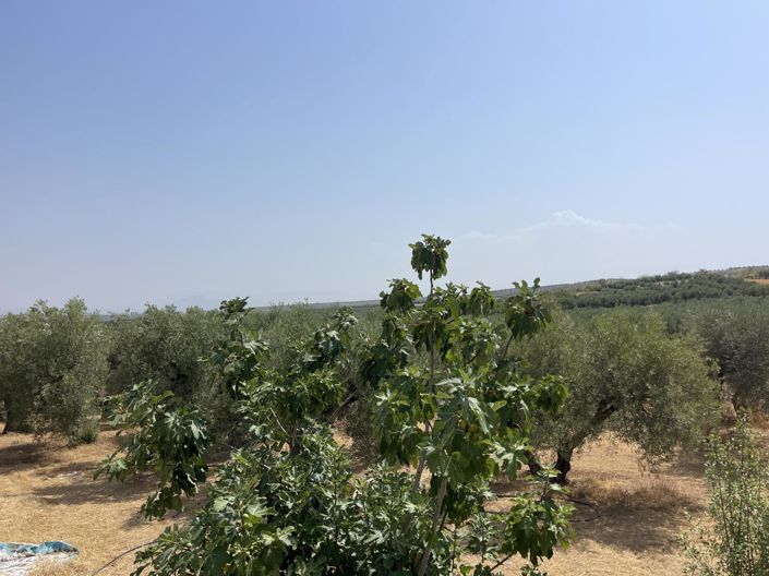 Image No.16-Propriété de 1 chambre à vendre à Moraleda de Zafayona