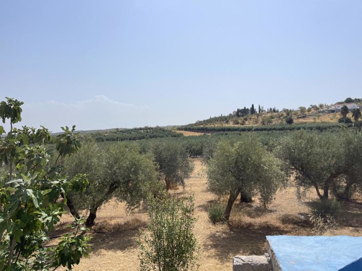 Image No.17-Propriété de 1 chambre à vendre à Moraleda de Zafayona