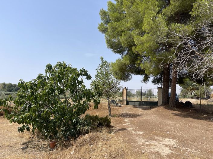 Image No.19-Propriété de 1 chambre à vendre à Moraleda de Zafayona