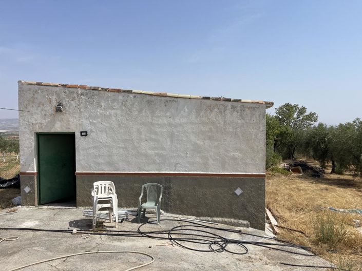 Image No.3-Propriété de 1 chambre à vendre à Moraleda de Zafayona