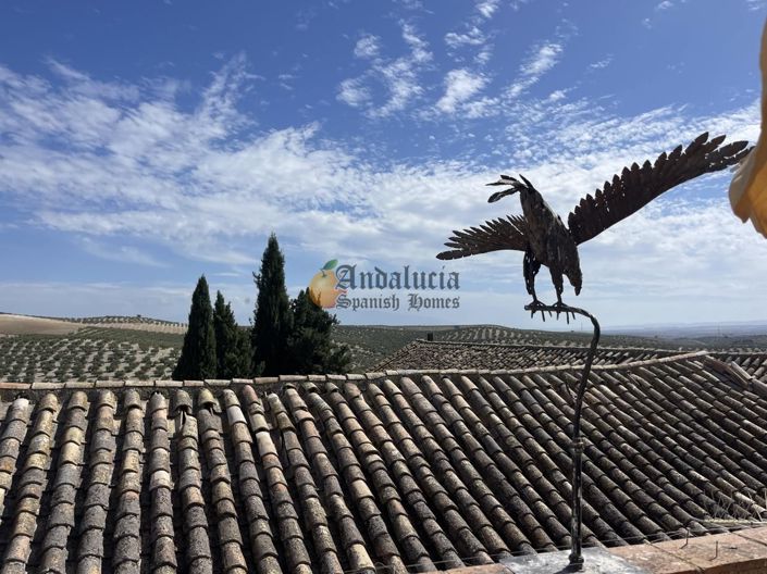 Image No.36-Propriété de 3 chambres à vendre à Costa Tropical