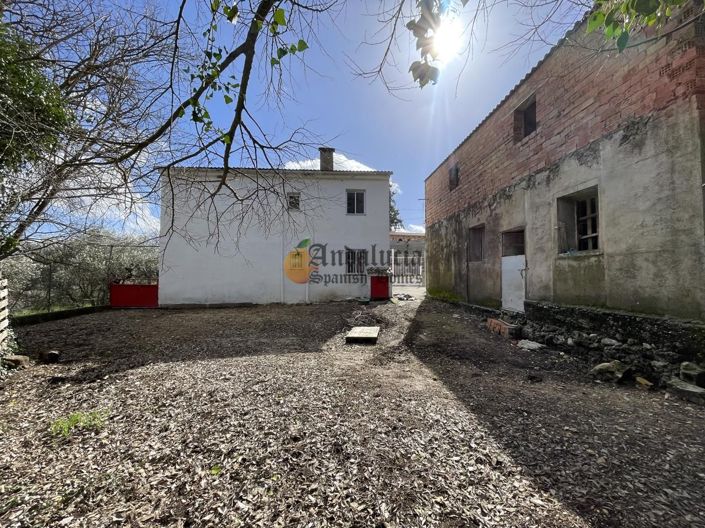 Image No.48-5 Bed Property for sale