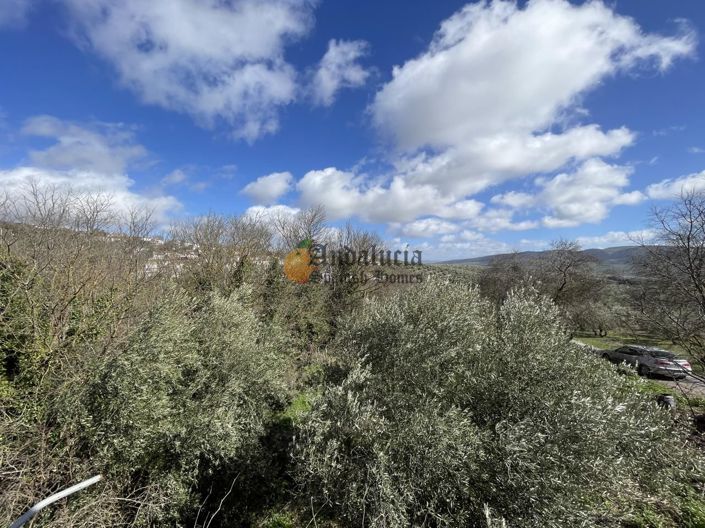 Image No.54-5 Bed Property for sale