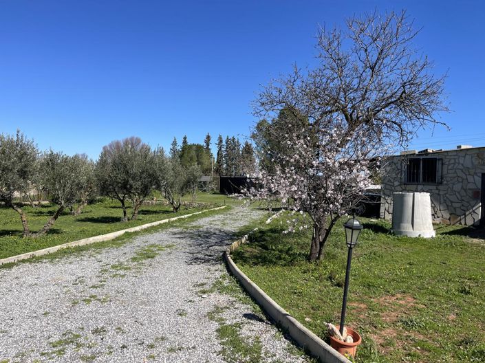 Image No.43-3 Bed Country House for sale