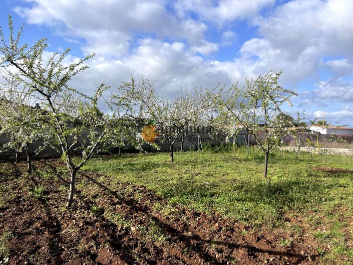 Image No.14-Propriété de 3 chambres à vendre à Moraleda de Zafayona